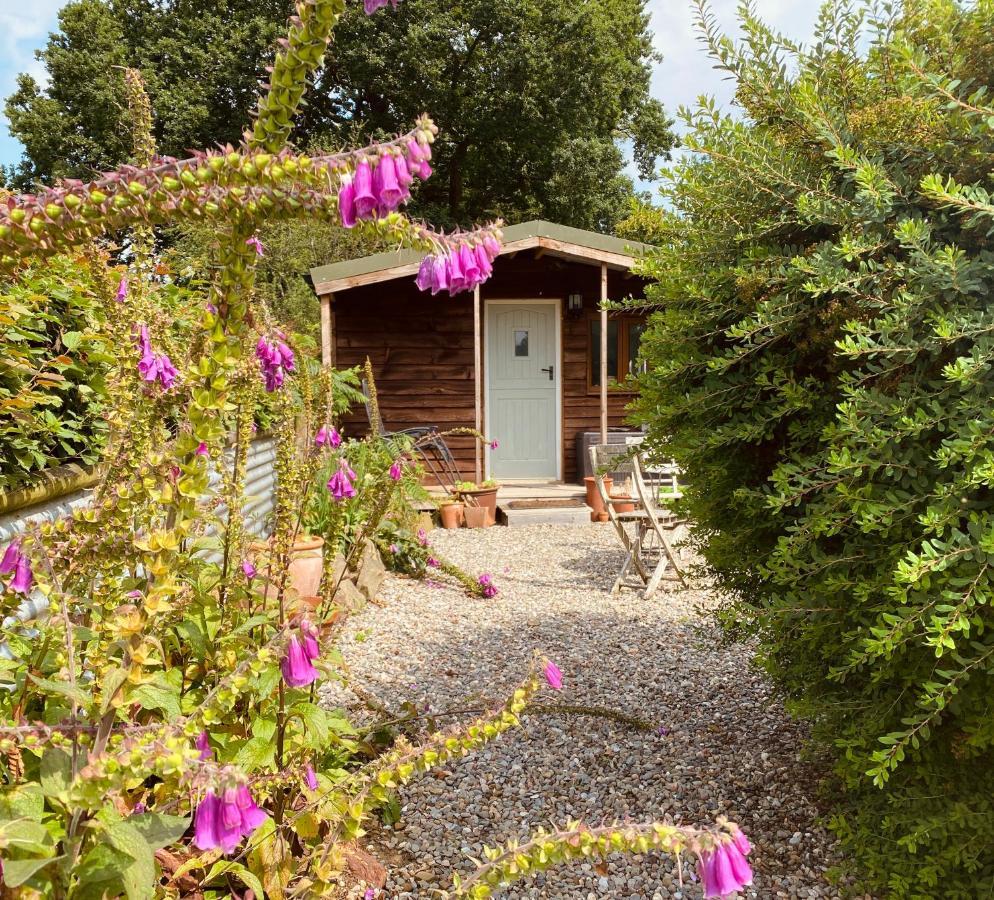 Hideaway In The Hills Βίλα Church Stretton Εξωτερικό φωτογραφία